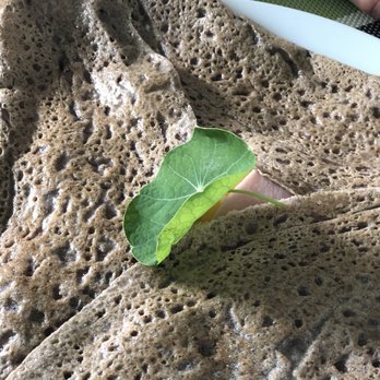 Le Tomifobia - a leaf on top of a flatbread - French Near Me - Stanstead, Quebec