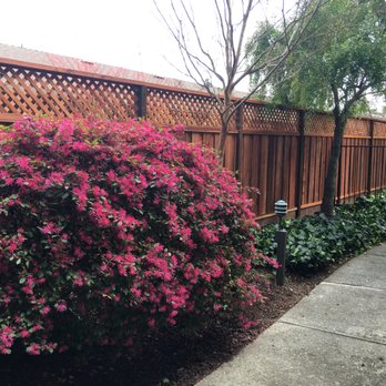 Meza's Fence - Fences & Gates Near Me - San Jose, California Meza's Fence - Fences & Gates Near Me - San Jose, California