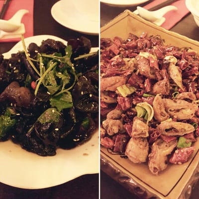 Sichuan Grand Oxford Branch 成都府牛津店 by null
