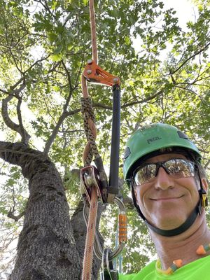 Arborist Consultations - Aero can come evaluate your site and assess your trees for health and risk. He will discuss management options with you so that you can make educated decisions on how to best manage your trees. Aero provides verbal assessments, written assessments and reports, tree inventories, and appraisals.