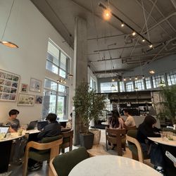 The Screaming Parrots Cafe