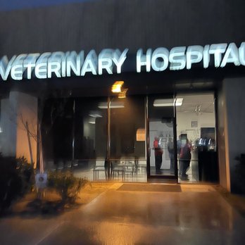 Stine Veterinary Hospital - Veterinarians Near Me - Bakersfield, California