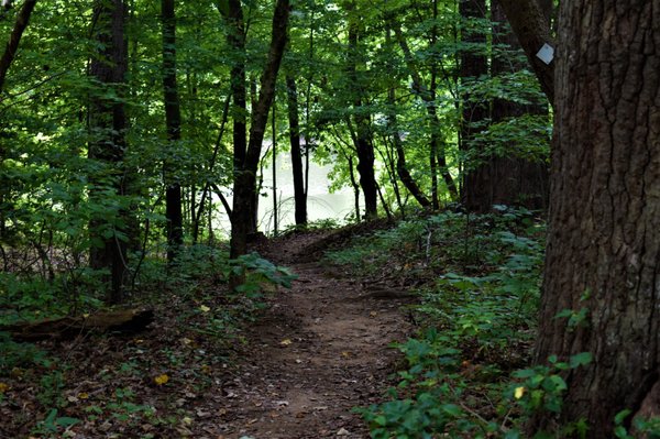 Lake Norman State Park by null