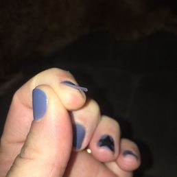 1.5 days old 1.5 days old