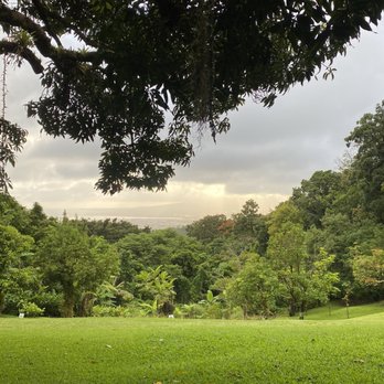 Experience Nutridge - View from the estate - Performing Arts Near Me - Honolulu, Hawaii