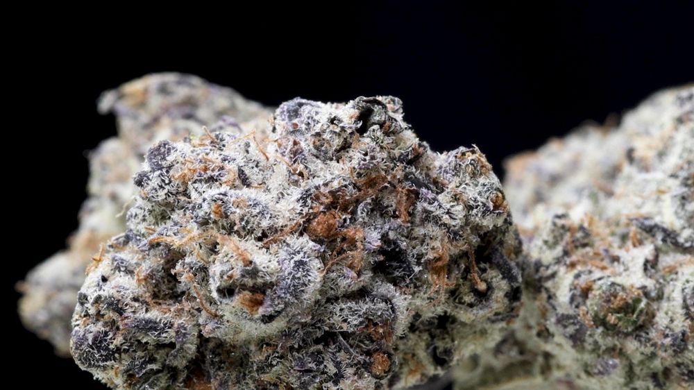 CARLSBAD WEED DELIVERY DISPENSARY Updated August 2024 20 Photos