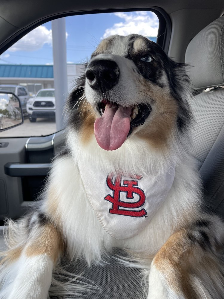 DOG DAYS DELIGHT Updated July 2024 12 Photos & 16 Reviews 873 SE