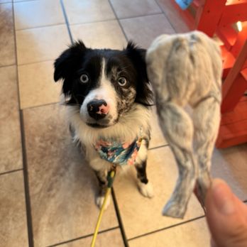 Expert Pet - Pet Stores Near Me - San Francisco, California