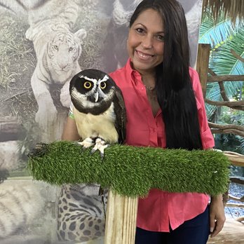 Zoological Wildlife Foundation - Owl Encounter - Zoos Near Me - Miami, Florida Zoological Wildlife Foundation - Owl Encounter - Zoos Near Me - Miami, Florida