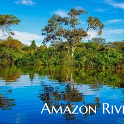 The Cruise Travellers - Discover the wonders of the Amazon River