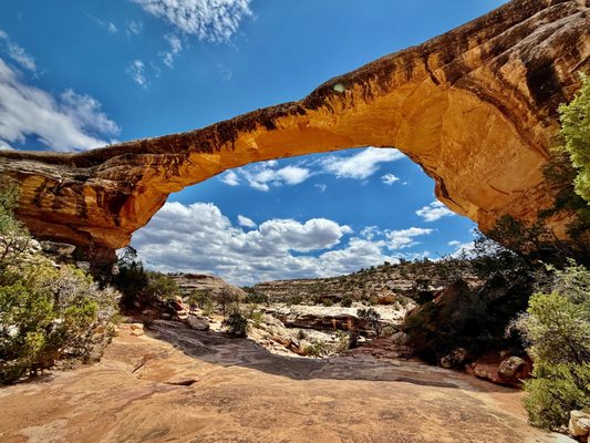 Natural Bridges National Monument by null