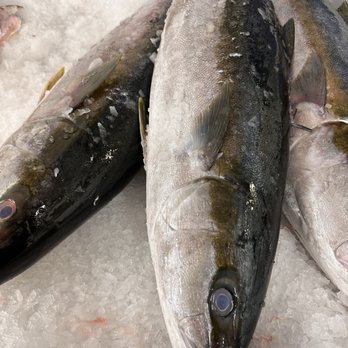 J DeLuca Fish Company - three fish on ice - Seafood Markets Near Me - San Pedro, California J DeLuca Fish Company - three fish on ice - Seafood Markets Near Me - San Pedro, California