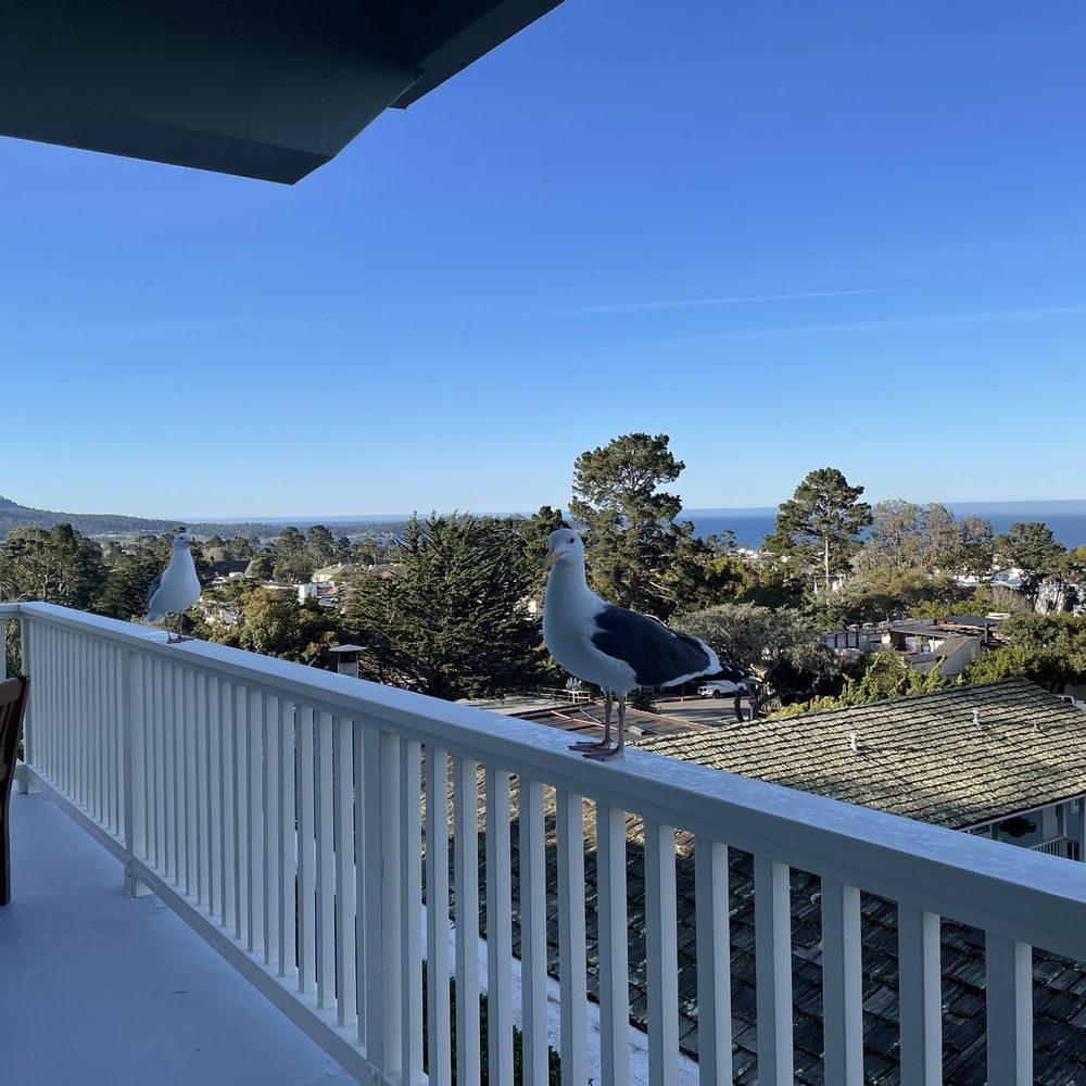 Carmel Bay View Inn - Hotels Near Me - Carmel, California Carmel Bay View Inn - Hotels Near Me - Carmel, California