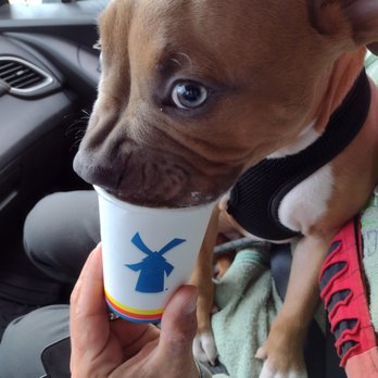 Dutch Bros Coffee - Coffee & Tea Near Me - Portland, Oregon Dutch Bros Coffee - Coffee & Tea Near Me - Portland, Oregon