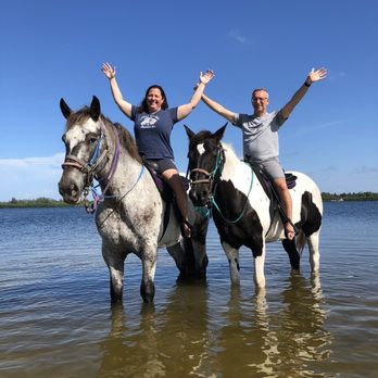 Florida Beach Horses - Awesome experience hands with wahoo and Conga! - Beaches Near Me - Bradenton, Florida