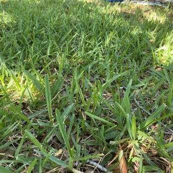 Beast Mode Lawn Care - Lawn Services Near Me - Jacksonville, Florida