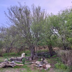 Lake Corpus Christi State Park - Bird watching area.
