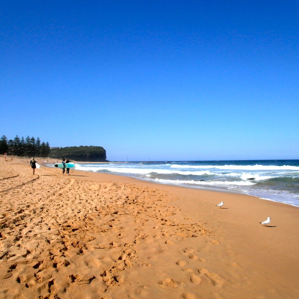 Mona Vale Beach - Beaches Near Me