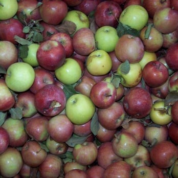 Johnson's Orchard - Farmers Market Near Me - Bedford, Virginia