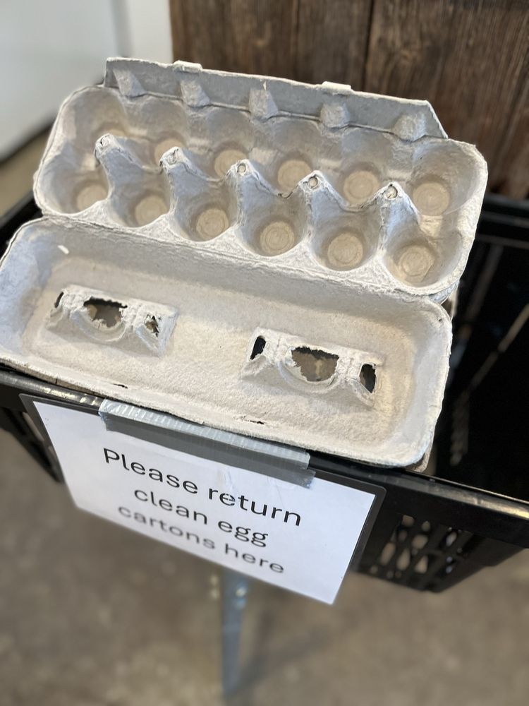 Wicked Bines Farm - beekeeping in Berlin, VT
