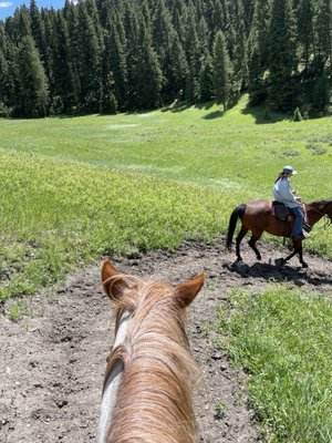 Jake's Horses Inc. by null