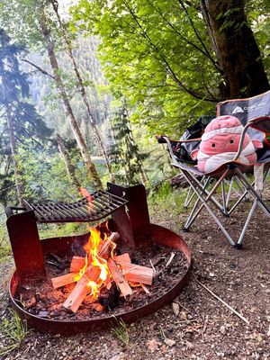 Fairholme Campground by null