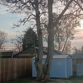 Axe and Oak Tree Care - Tree Services Near Me