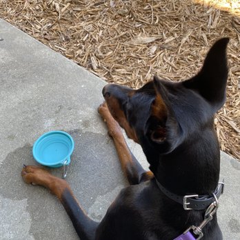 Mad Salads - Dog friendly seating - Salad Near Me - Venice, Florida