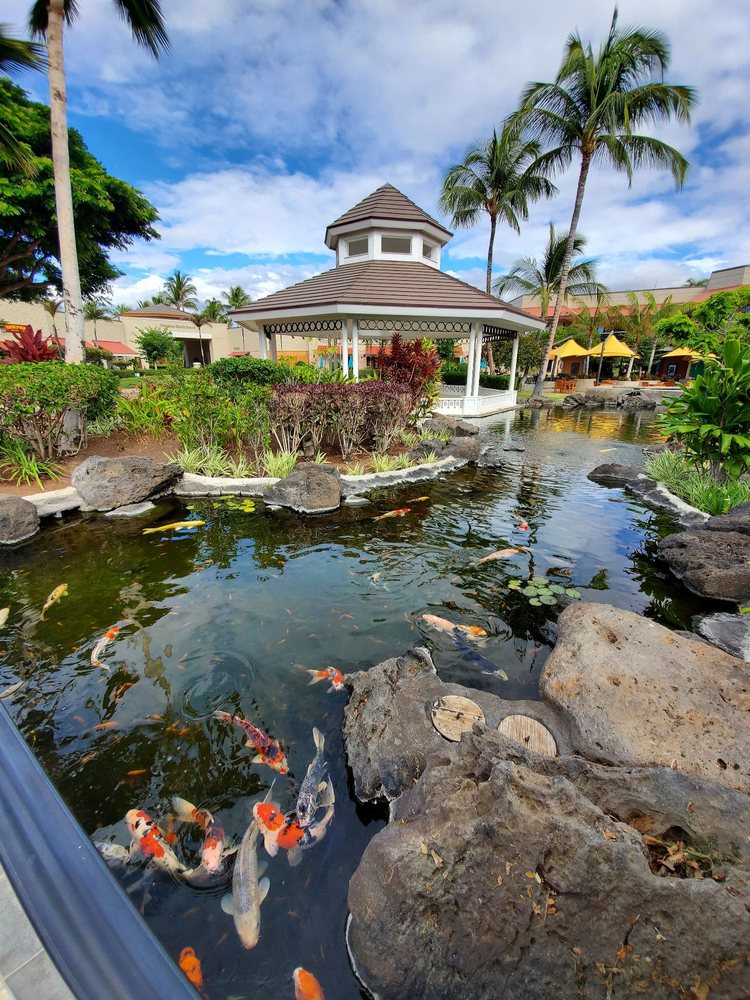 QUEENS MARKETPLACE 171 Photos & 92 Reviews 69201 Waikoloa Beach Dr