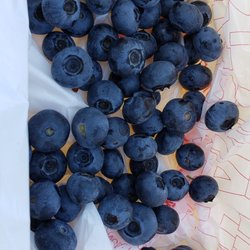 Blue Basket Farms - First few minutes of picking