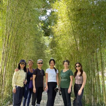 Integrated Movement - Gyrokinesis course. - Trainers Near Me - San Luis Obispo, California Integrated Movement - Gyrokinesis course. - Trainers Near Me - San Luis Obispo, California