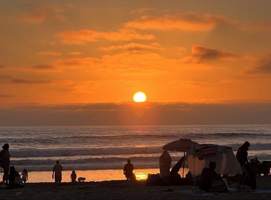 Mission Beach Park by null