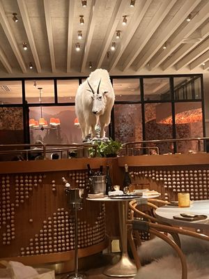 Bar Avize by null