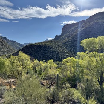 Casa Pita - CASA Pita is Ez drive from Sabino Canyon! After walks am-pm! - Greek Near Me - Tucson, Arizona