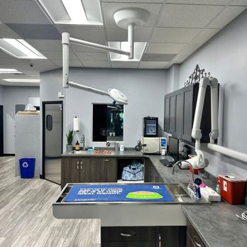 Artemis Veterinary - Veterinarians Near Me - Northborough, Massachusetts Artemis Veterinary - Veterinarians Near Me - Northborough, Massachusetts
