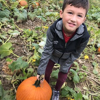 Cucurbit Farm - a young boy picking a pumpkin - Fruits & Veggies Near Me - Acton, Massachusetts