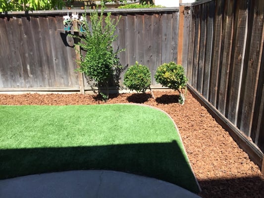 Will's Tree Care on Yelp