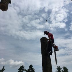 Viking Tree Service - Climber silhouette on a recent crane removal job.