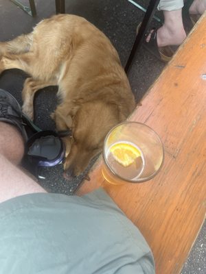 Bill's Beer Garden by null
