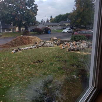 E&S Tree Service - All finished - Tree Services Near Me E&S Tree Service - All finished - Tree Services Near Me