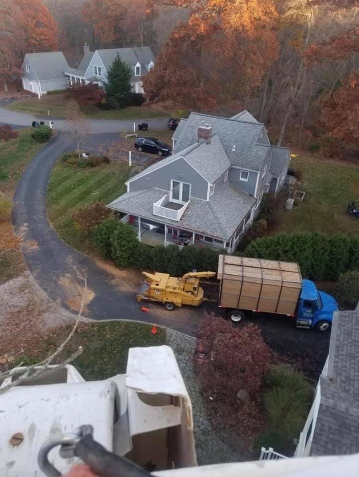 Green View Tree Service - tree service in Cranston, RI