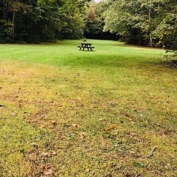 Wolfe's Neck Woods State Park - Large picnic areas with plenty of room. - Hiking Near Me - Freeport, Maine Wolfe's Neck Woods State Park - Large picnic areas with plenty of room. - Hiking Near Me - Freeport, Maine