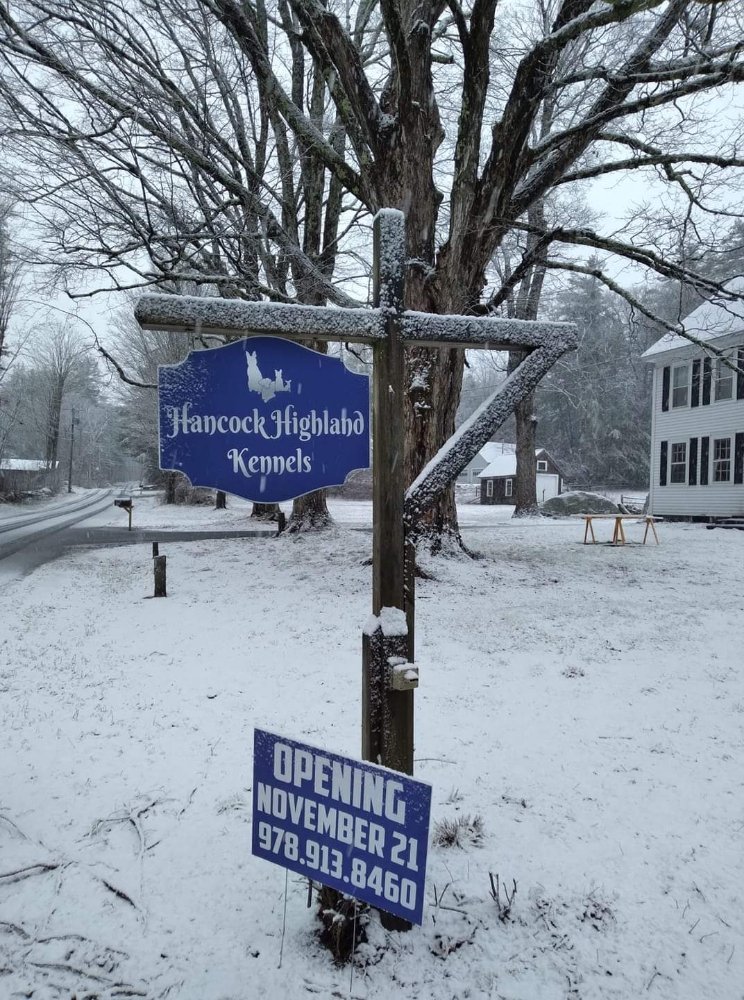 HANCOCK HIGHLAND KENNELS Updated September 2024 45 Middle Rd