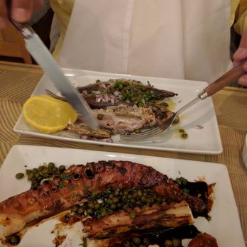 Pylos - My dad had the octopus and, I believe, sardines. - Greek Near Me - New York, New York Pylos - My dad had the octopus and, I believe, sardines. - Greek Near Me - New York, New York