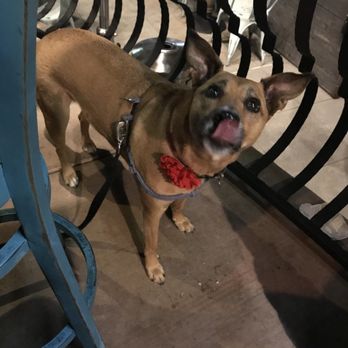 Farmer's Table - Cako Approves! - New American Near Me - La Mesa, California Farmer's Table - Cako Approves! - New American Near Me - La Mesa, California