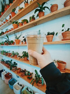 Cloche Coffee by null