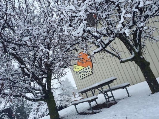 The Cheese Shop by null