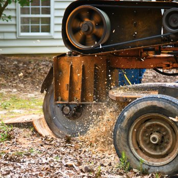A+ Tree Service - Tree Services Near Me - Morris, Minnesota