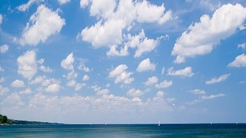 Fox Hollow Lodge by null