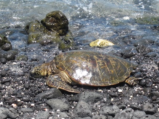 Hualalai Golf Course by null